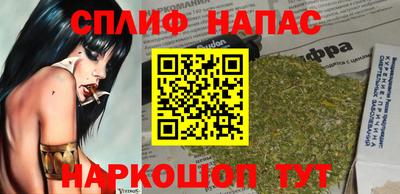 молекула духа Пугачёв